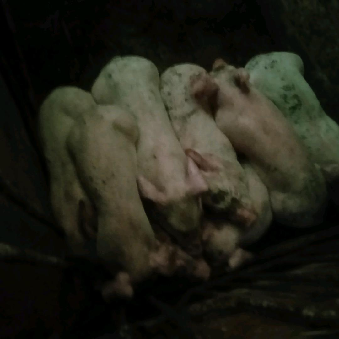 单身哥寻找有缘人