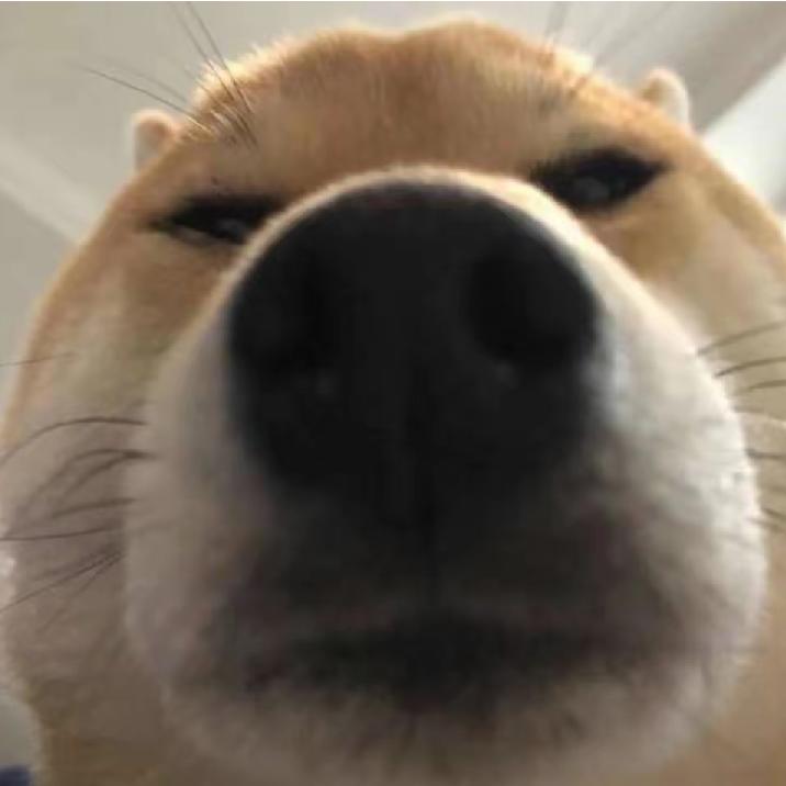 男的