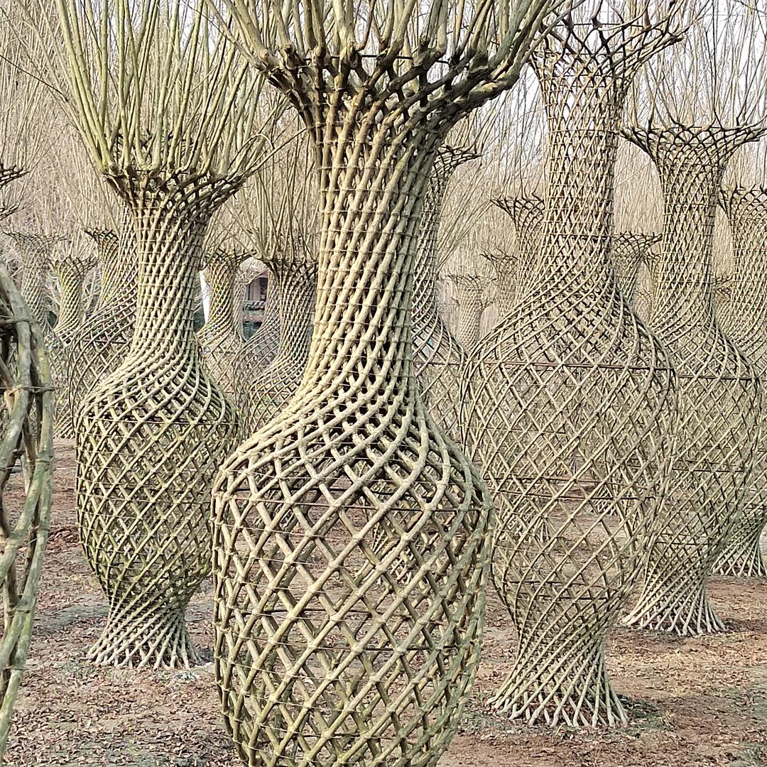 都江堰尘乡阁园艺场