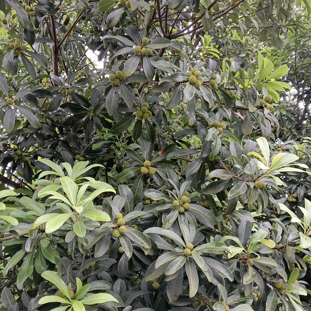 珍惜.