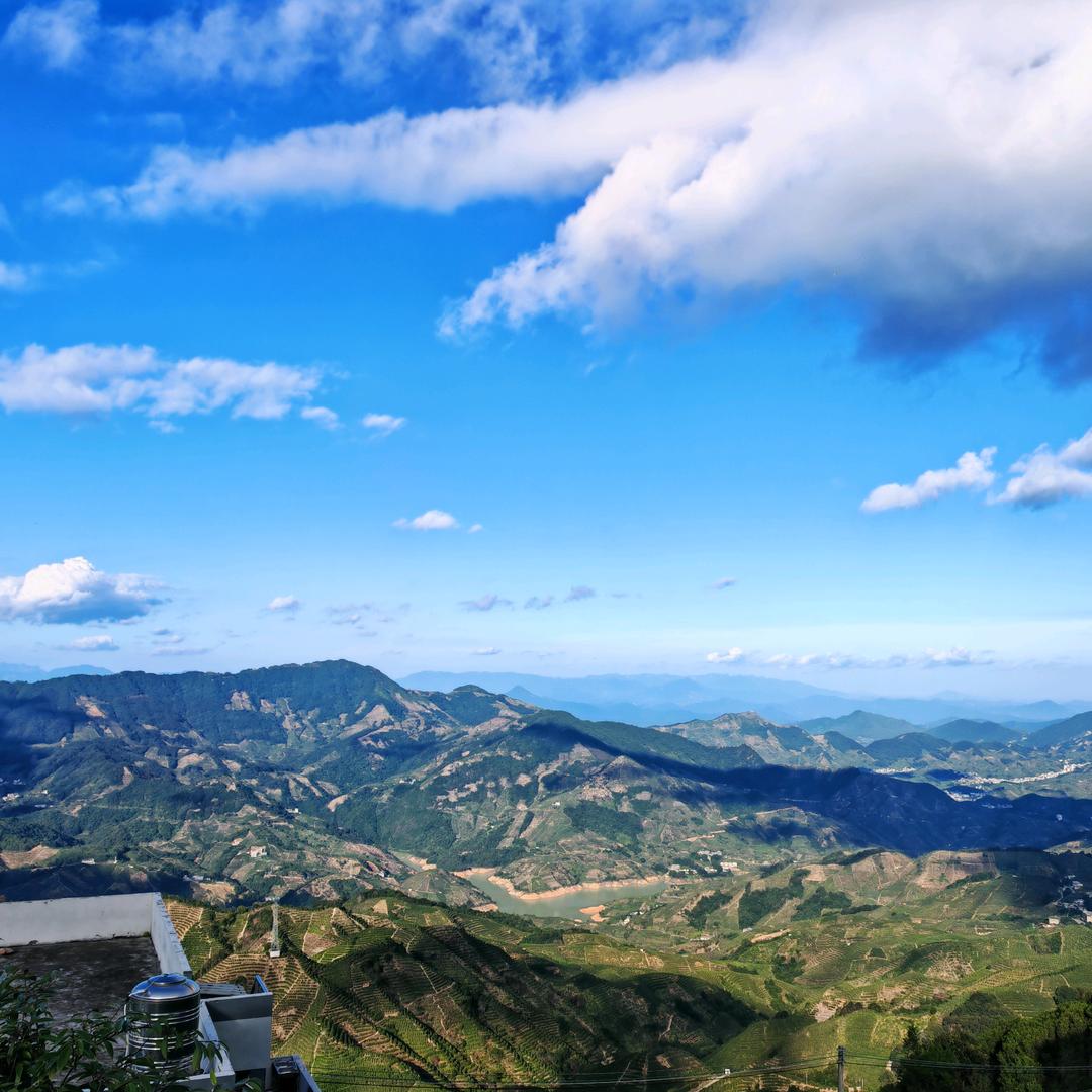吃人陈