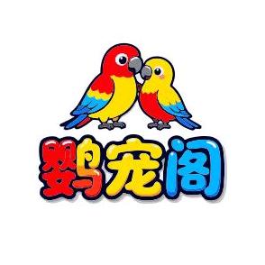 鹦宠阁宠物鹦鹉