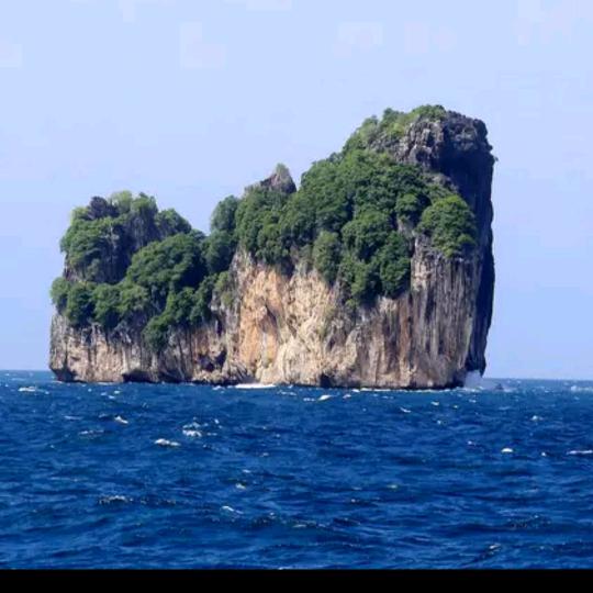 老海