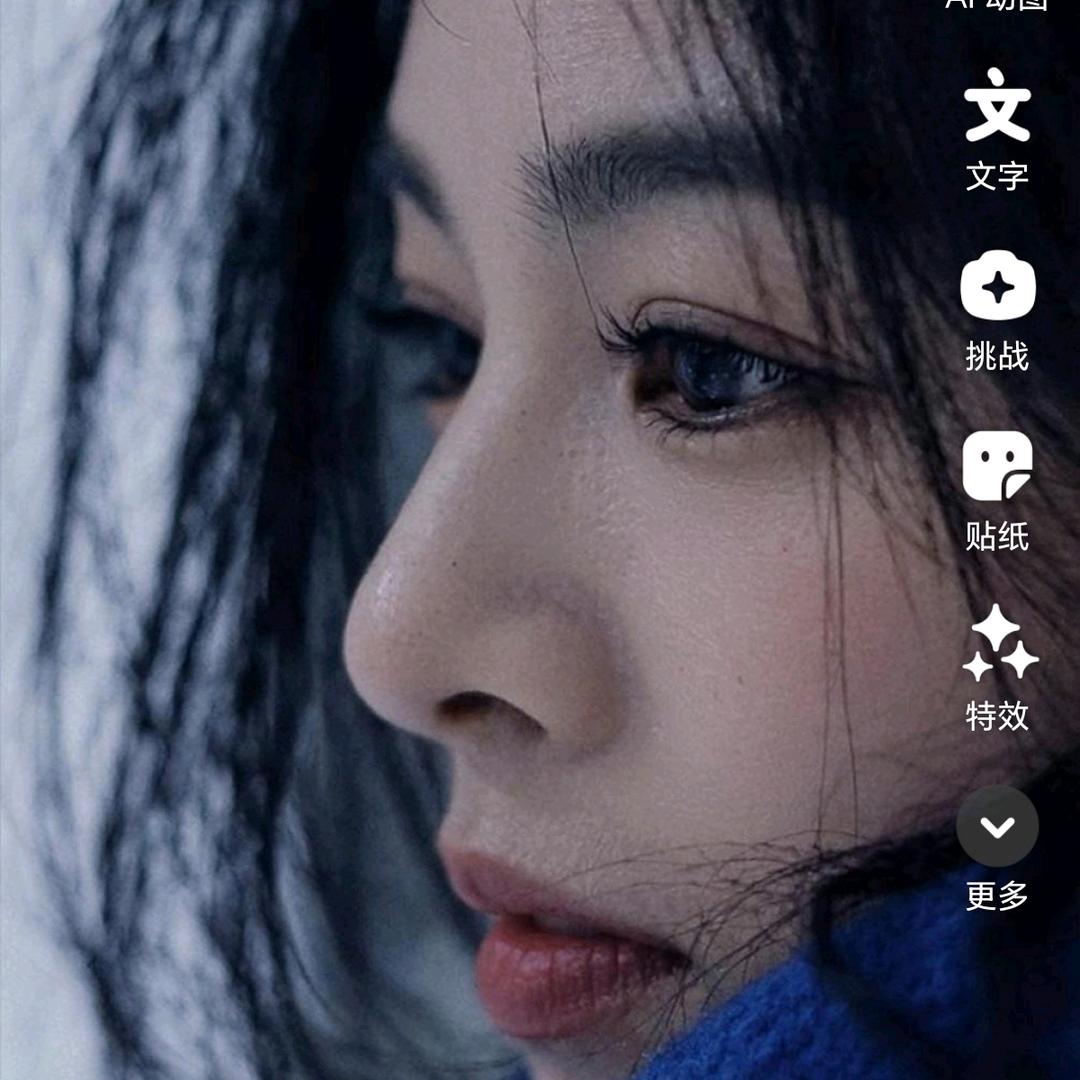 龙飞燕舞