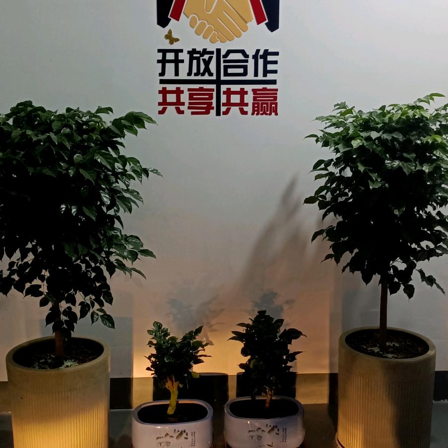 冬天不冷
