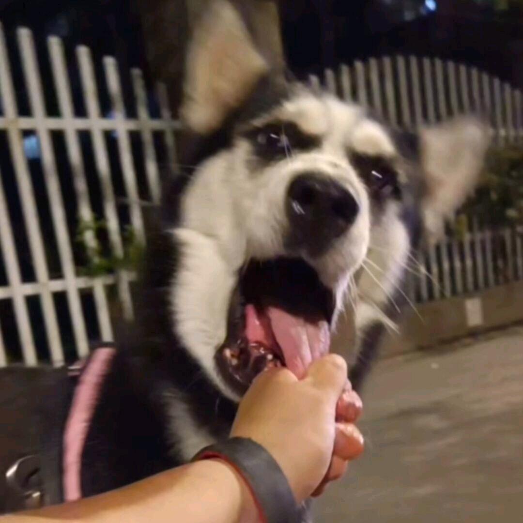 呃呃呃