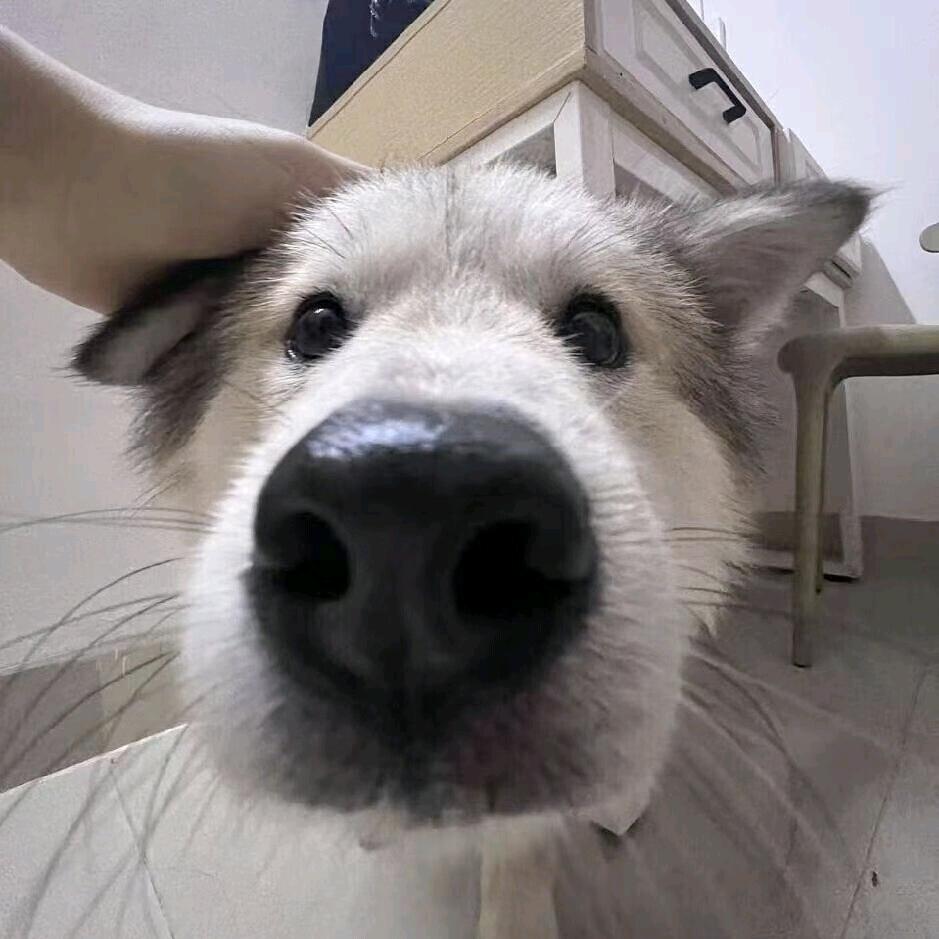往前走·