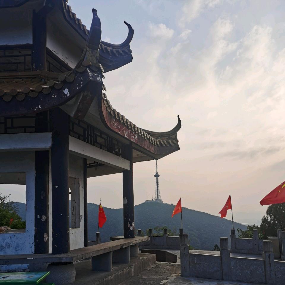 悟道：山哥