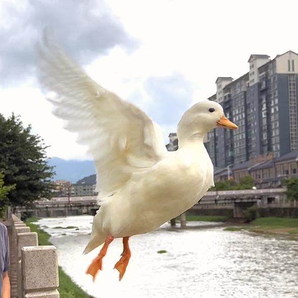 东西一家