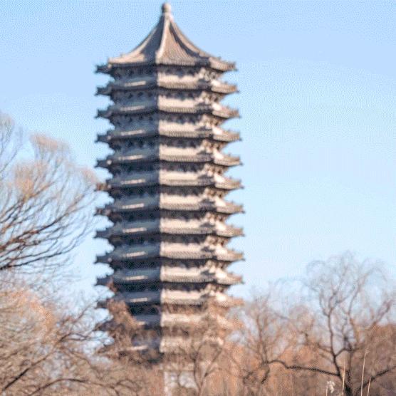 北大书法公开课