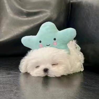 家有三宝.