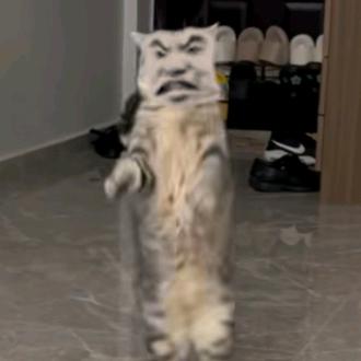孟