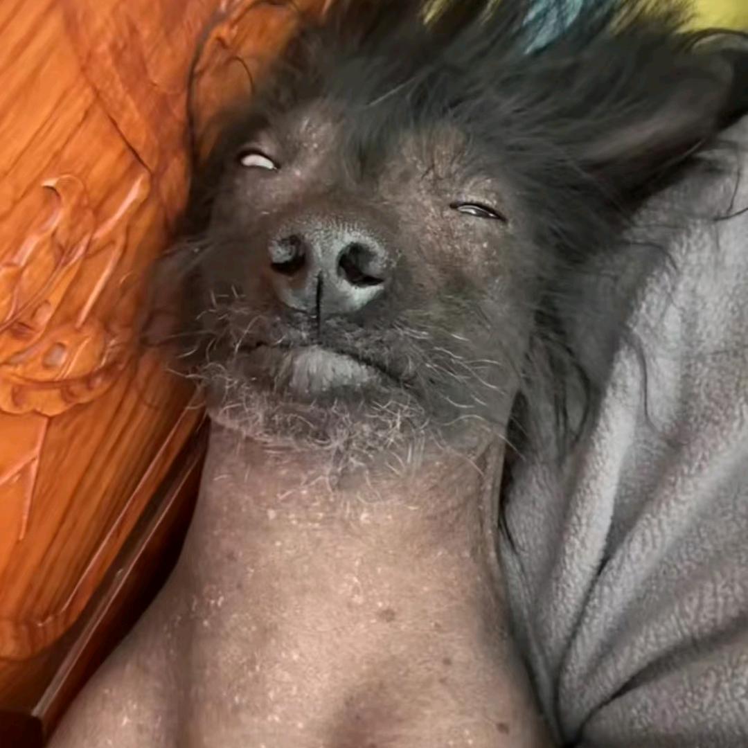 追风（好运降临版）