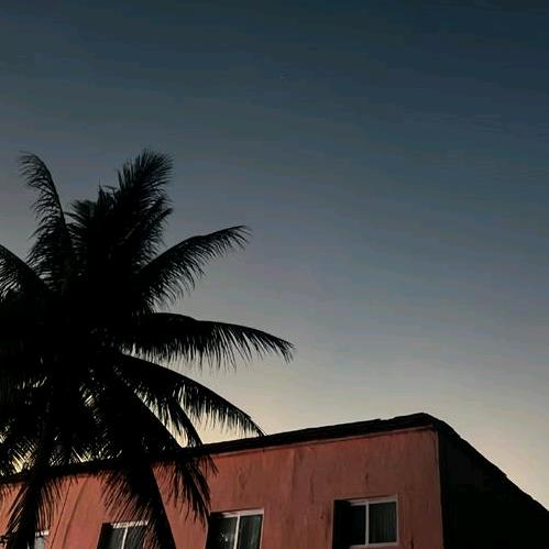 林浅歌