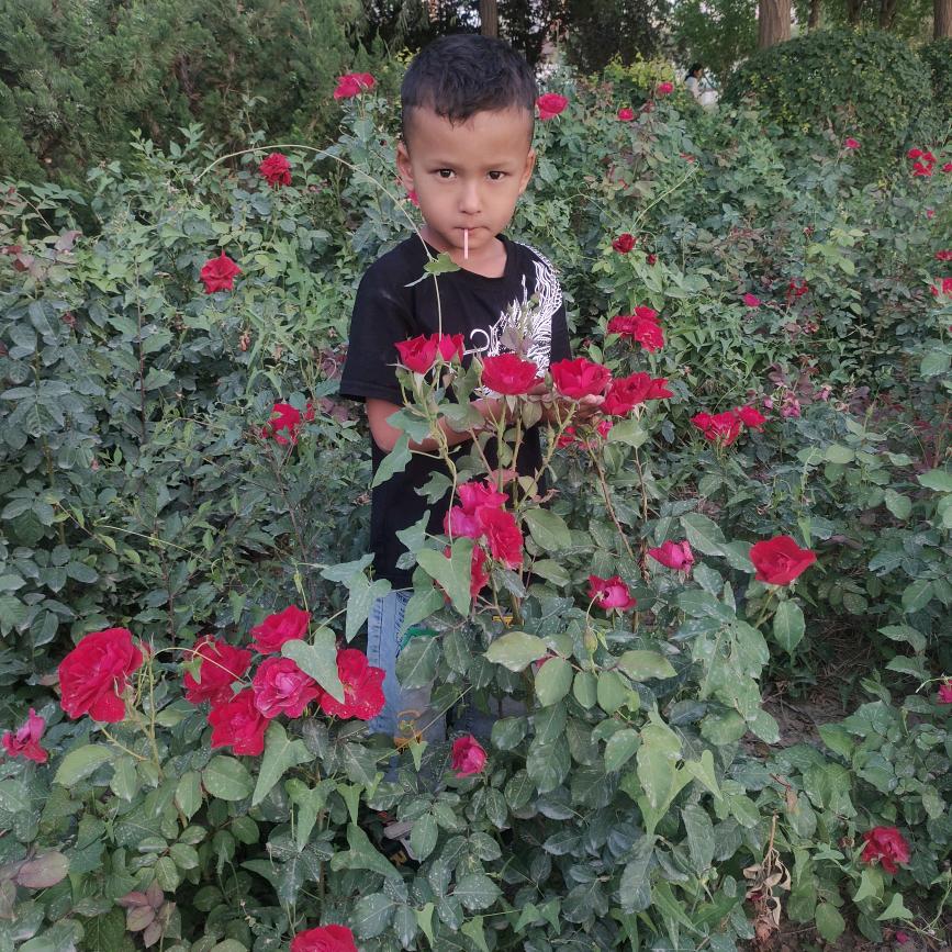 ꨄ︎𝑏𝑢𝑚𝑎𝑟𝑎𝑚ꨄ︎