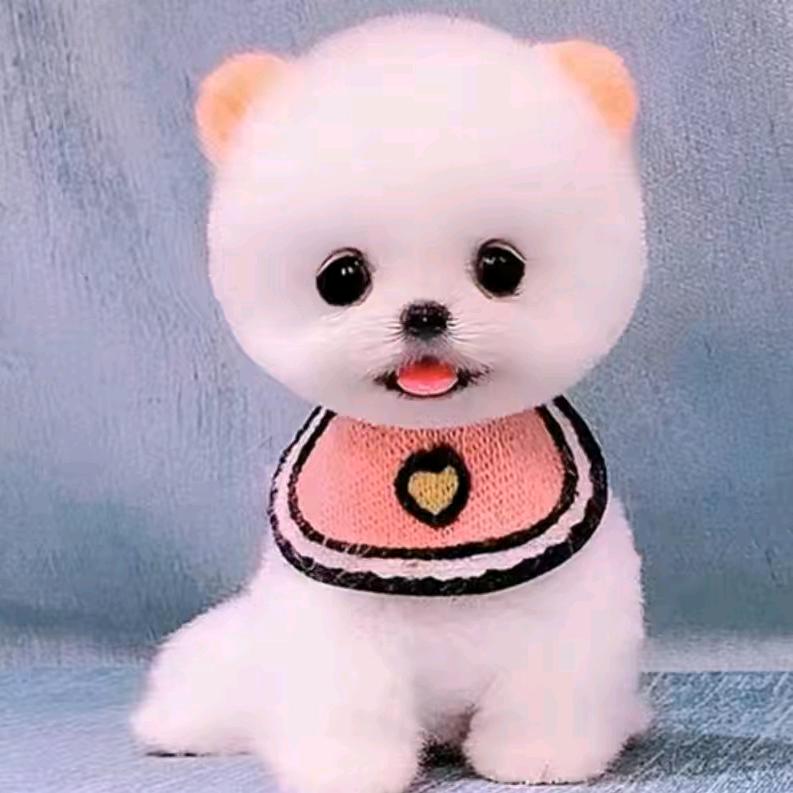 hs开心快乐每一天