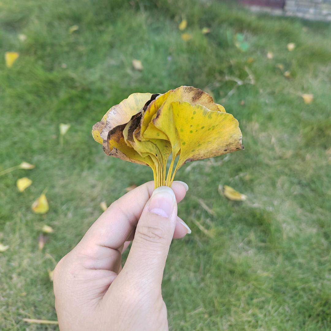 小米@