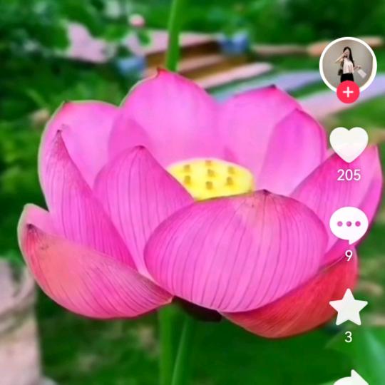 一切皆随缘