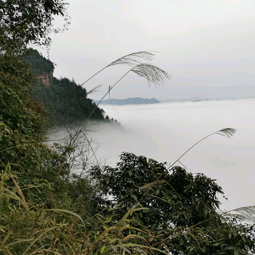 周游世界