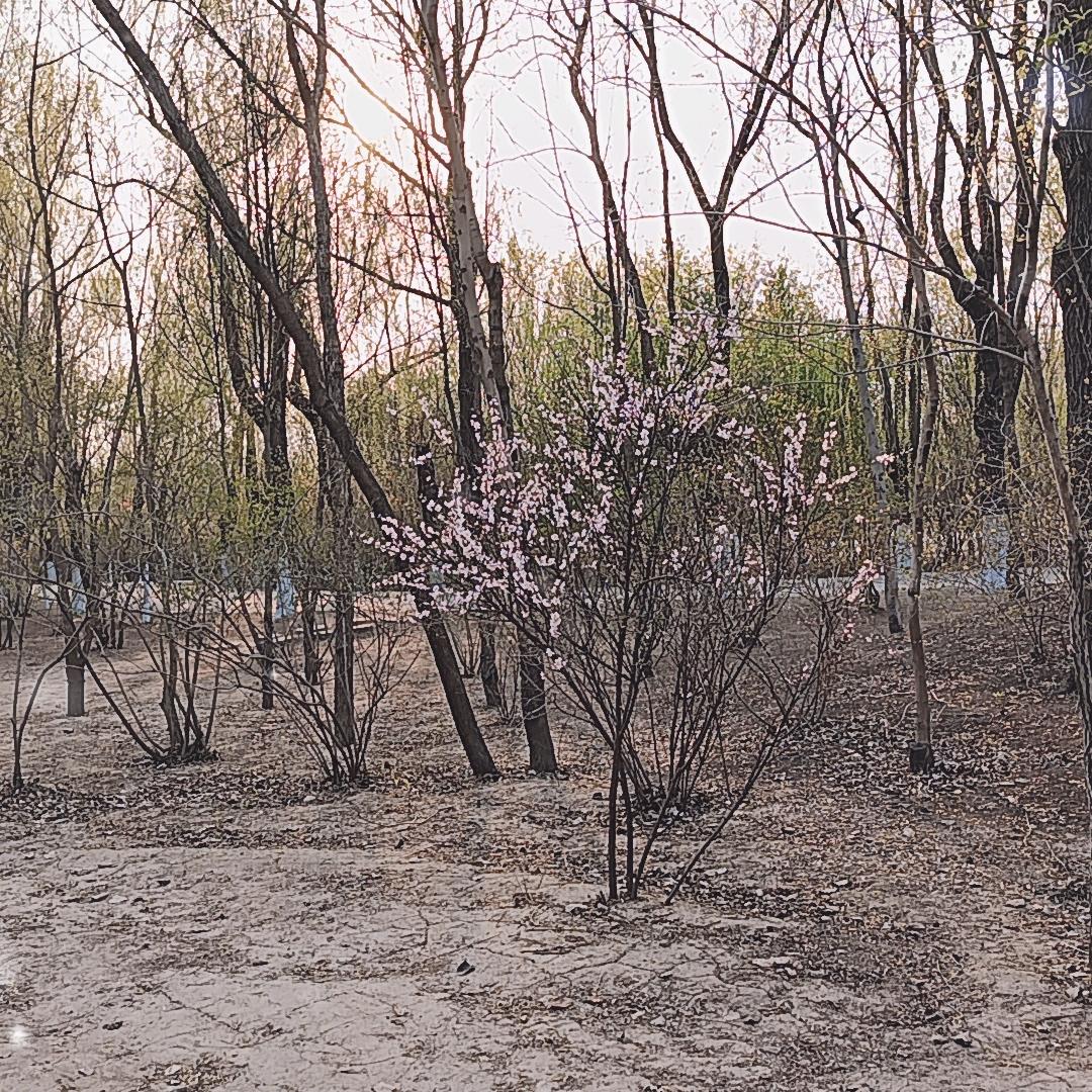 芳源门业全铝家居