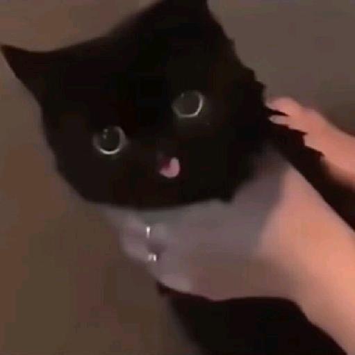 好像有点不妙