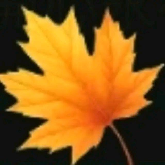 秋天的叶🍁