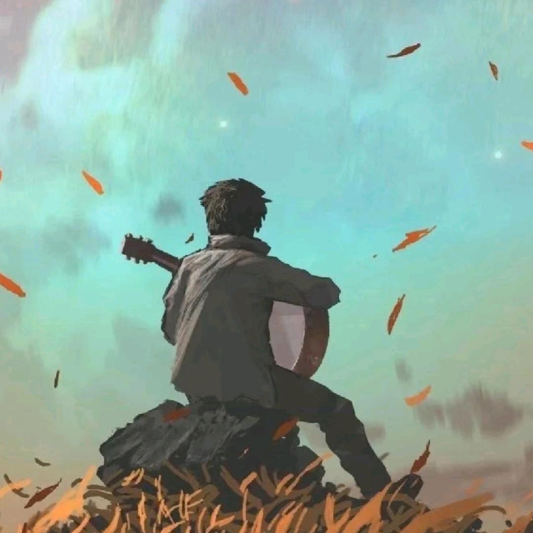 枫