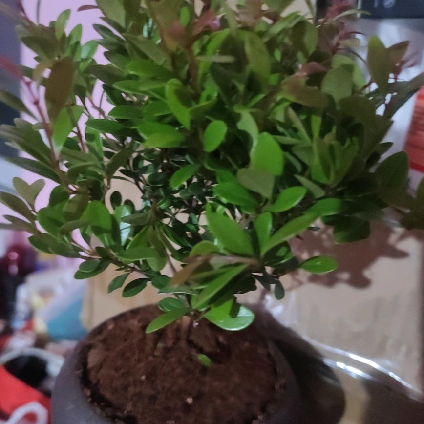 每天都开心