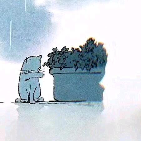 王者荣耀鹤北（国服宫本诸葛）