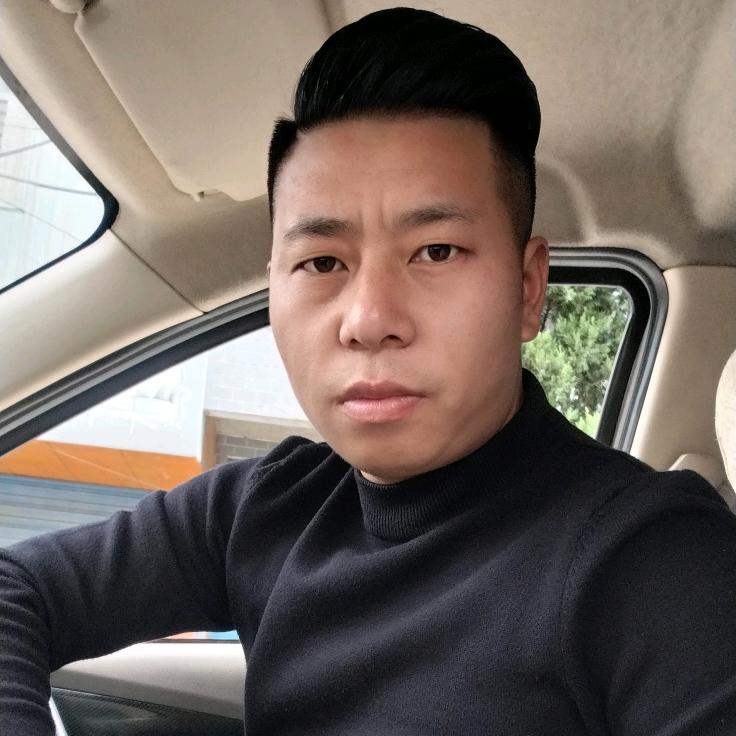 （陈老板）赛鸽、鸡动人心