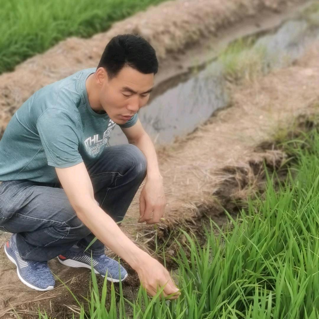 刘技术员