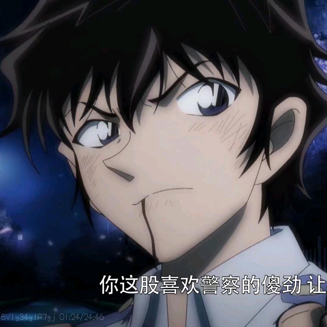 山奇仙贝