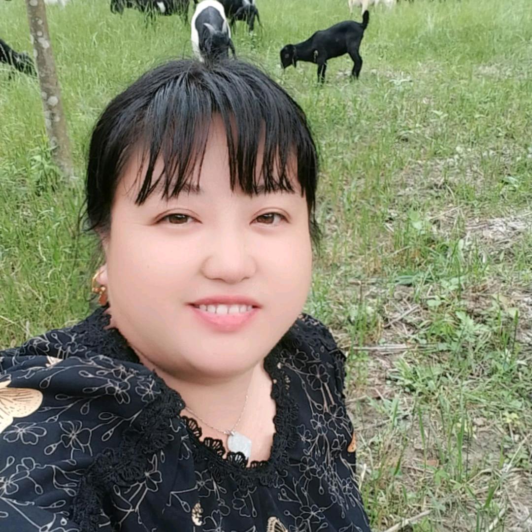 放羊秀秀