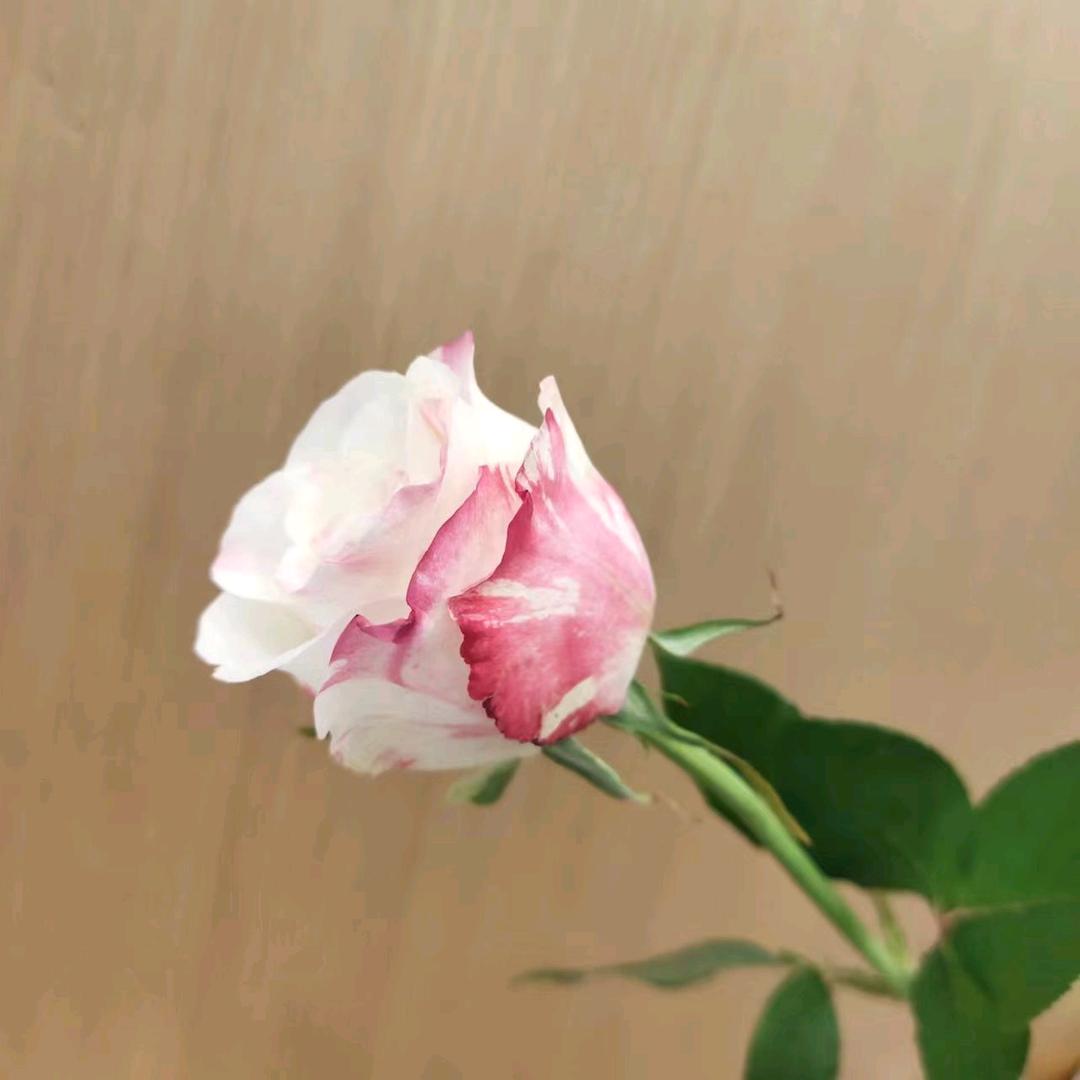 潜意识回忆
