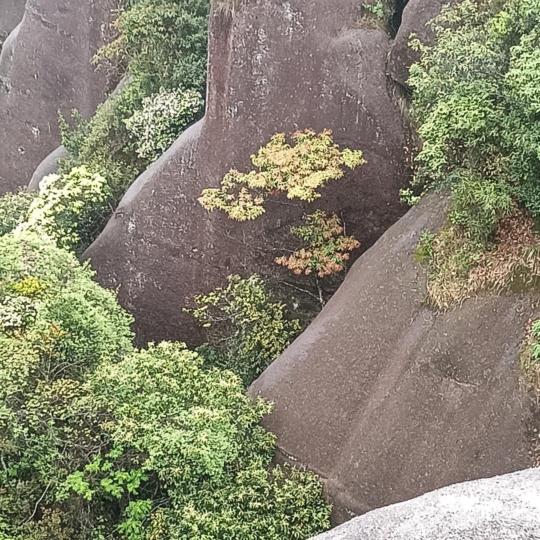 派对游戏～鹏仔