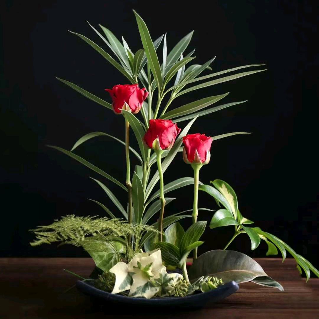 ꧁勿念᭄࿐余生