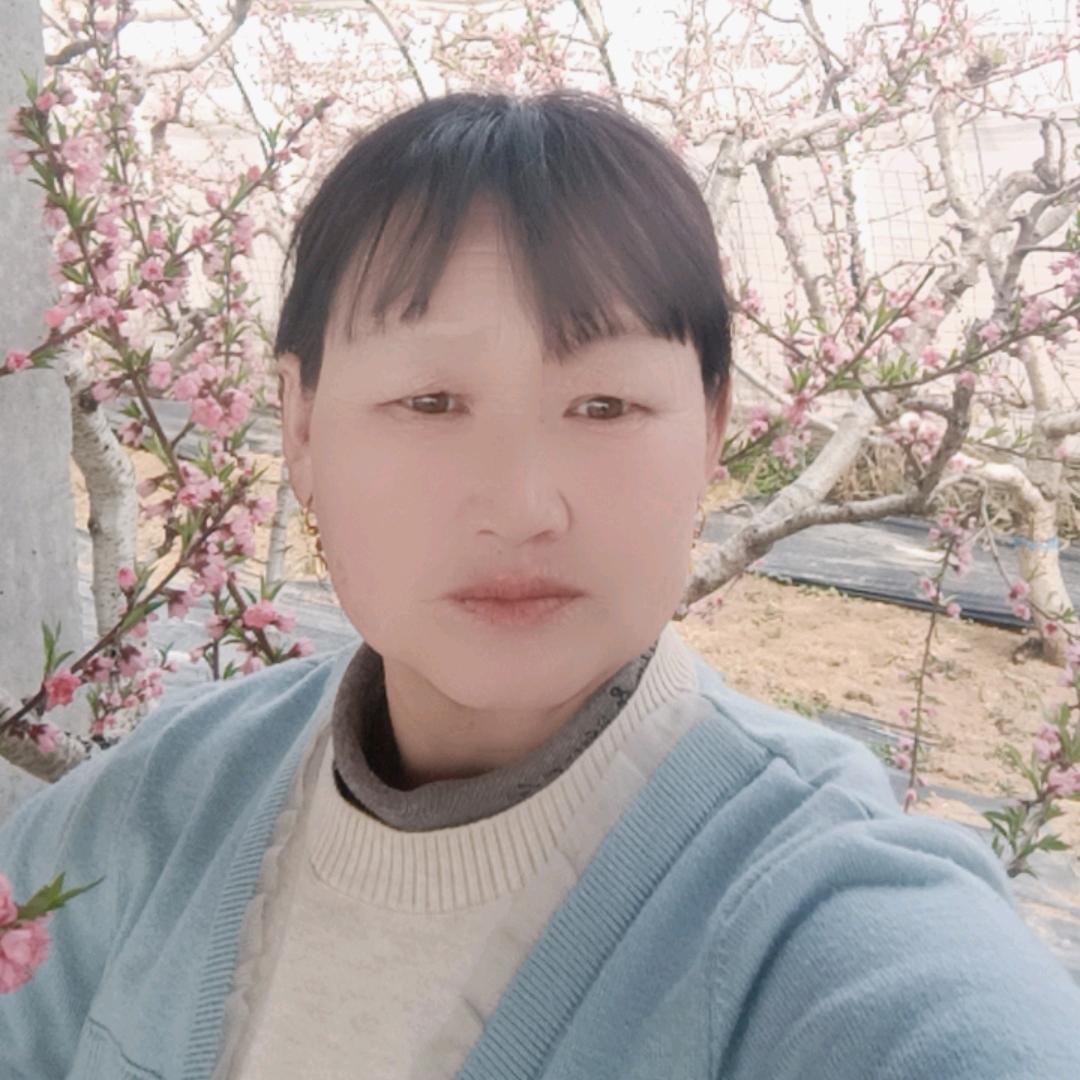 贾巧云