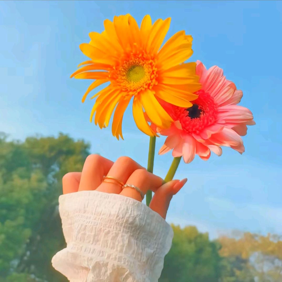 家有姐姐妹妹的日常