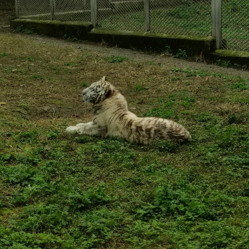 %%HYhdaNizue8%% @用户2