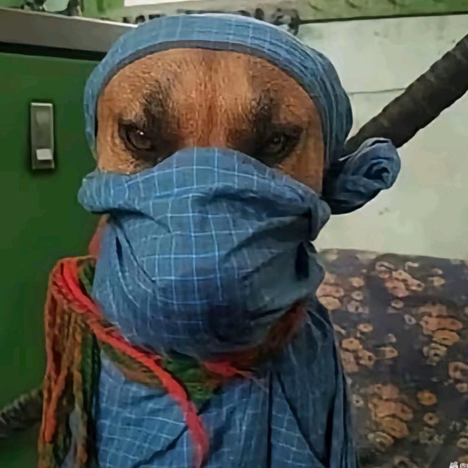 清风知我意