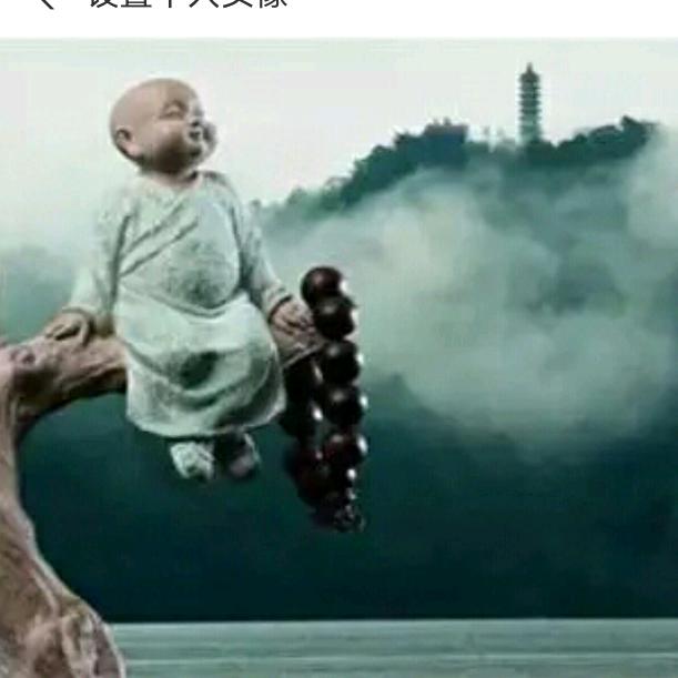 雁南飞