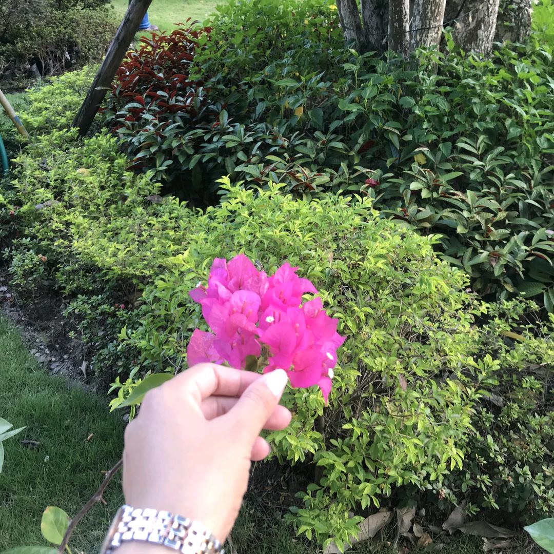 怀集专业轮毂修复中心