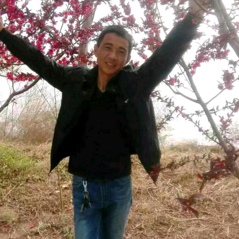 稳稳的幸福于永强