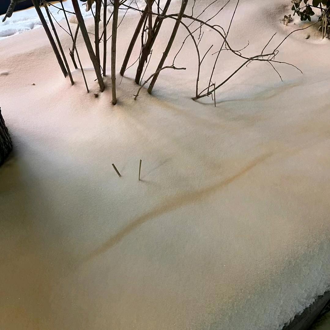 稳老弟