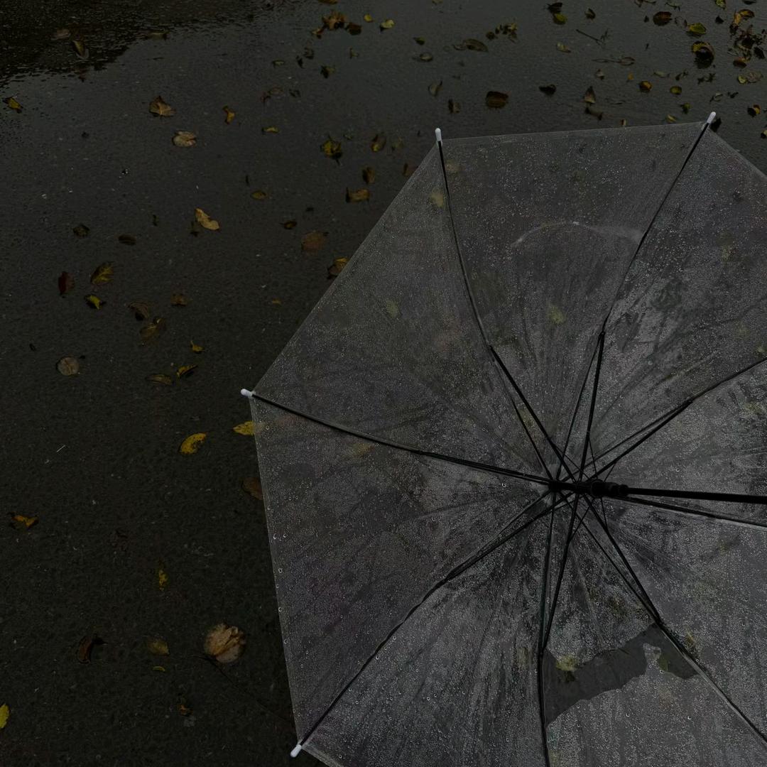 🌈艺我心☘️2113