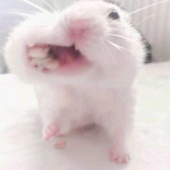 很开心