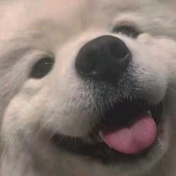 薇啊