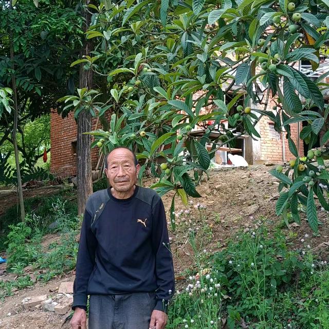 百果园主（西乡城南五星村）