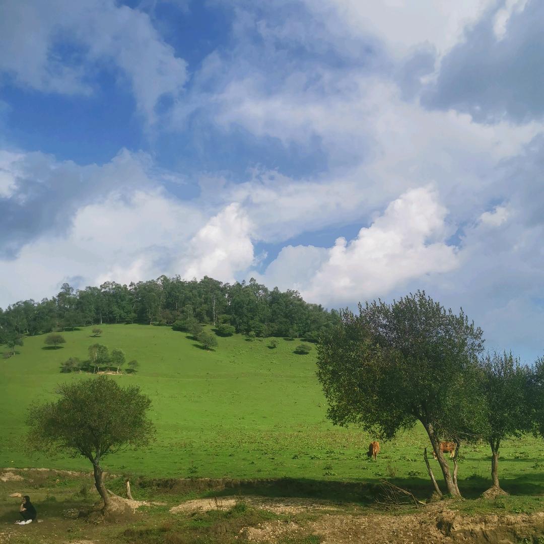 菜鸟也爱玩，哈哈