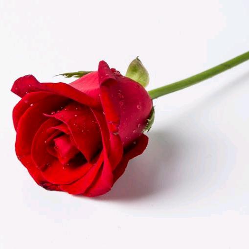 等待是最为痛苦的～